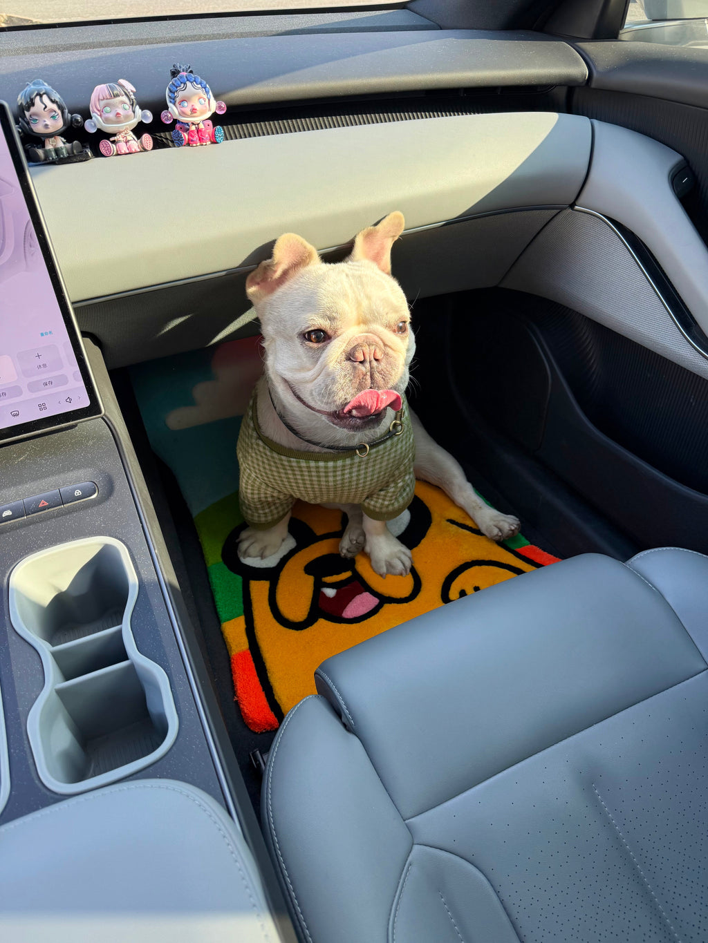 Adventure Car Mat