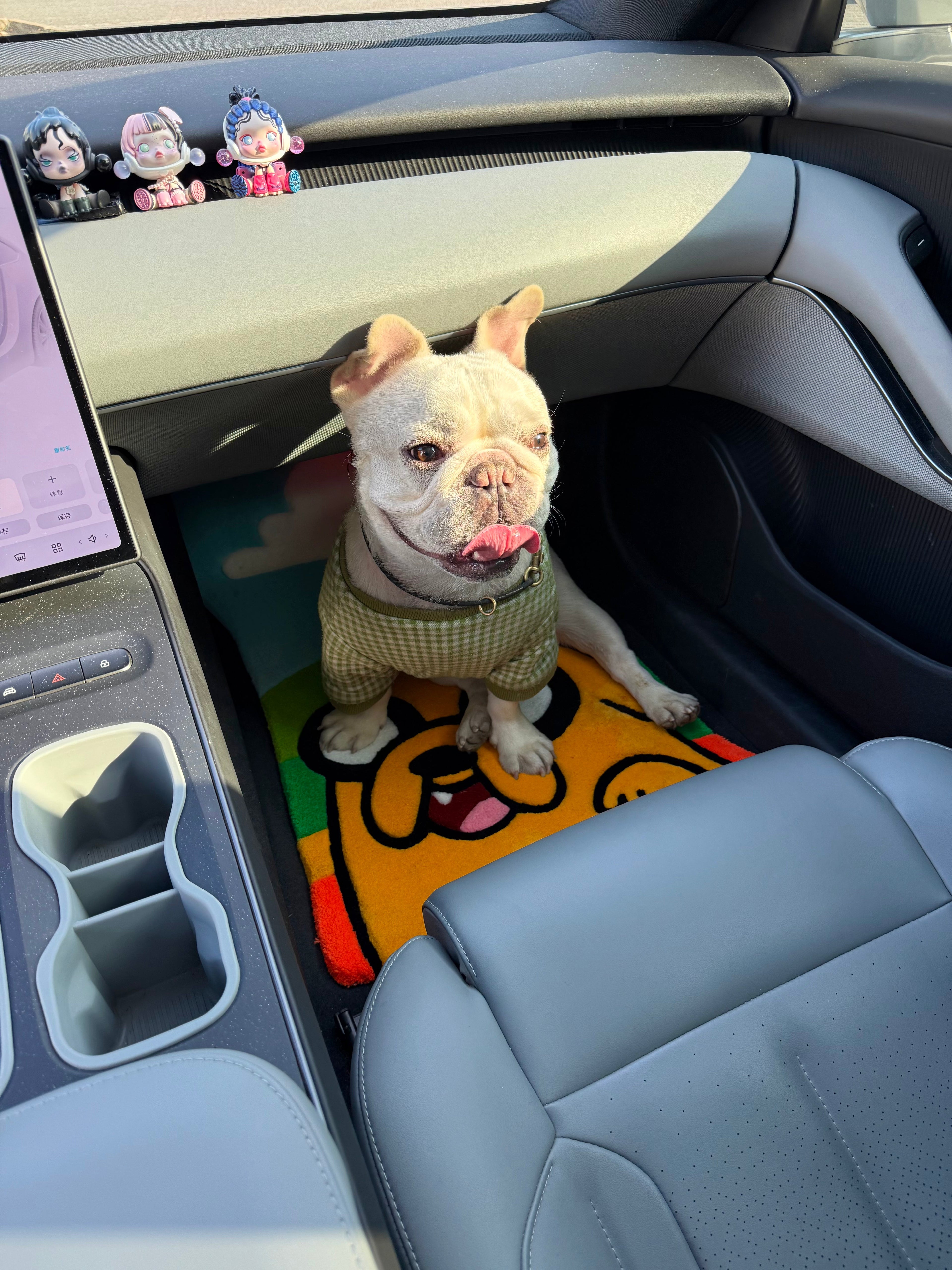 Adventure Car Mat